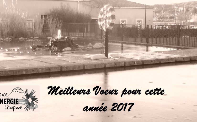 Meilleurs Vœux pour l’année 2017